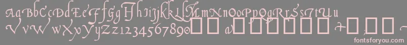 ItalianCursive14thC Font – Pink Fonts on Gray Background