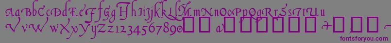 ItalianCursive14thC-Schriftart – Violette Schriften auf grauem Hintergrund