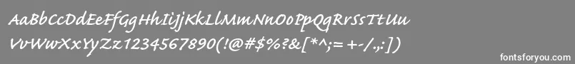 CaflischscriptproSemibold-Schriftart – Weiße Schriften auf grauem Hintergrund