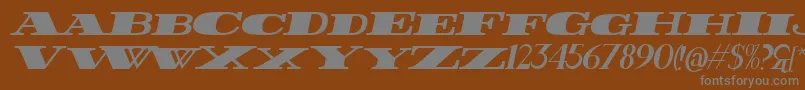 FatestItalic-fontti – harmaat kirjasimet ruskealla taustalla