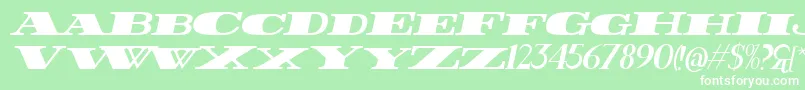 FatestItalic-Schriftart – Weiße Schriften auf grünem Hintergrund