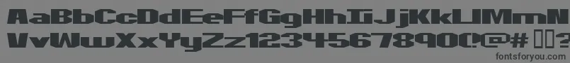 Motorcycle ffy Font – Black Fonts on Gray Background