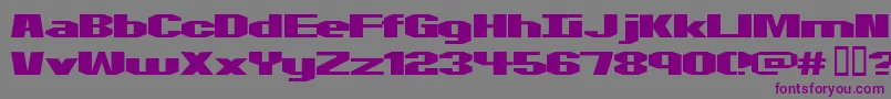 Motorcycle ffy Font – Purple Fonts on Gray Background