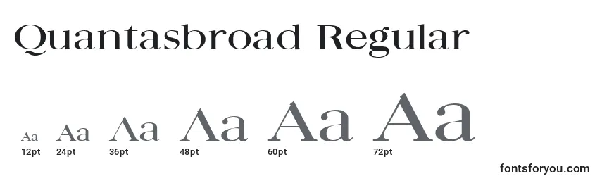 Quantasbroad Regular Font Sizes