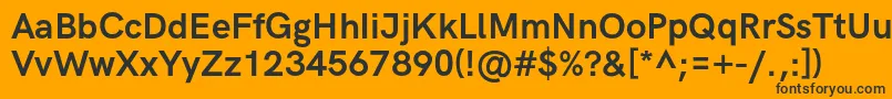 HkgroteskBold Font – Black Fonts on Orange Background