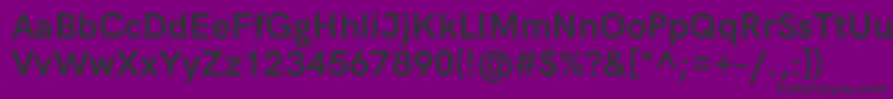 HkgroteskBold Font – Black Fonts on Purple Background