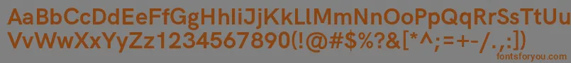 HkgroteskBold Font – Brown Fonts on Gray Background