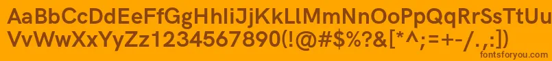 HkgroteskBold Font – Brown Fonts on Orange Background