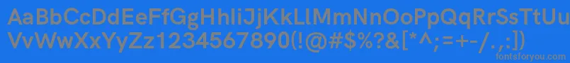 HkgroteskBold Font – Gray Fonts on Blue Background