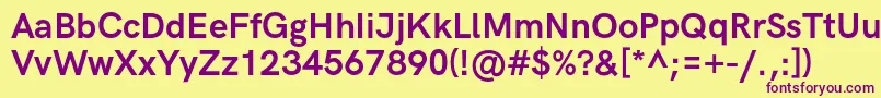 HkgroteskBold Font – Purple Fonts on Yellow Background