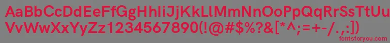 HkgroteskBold Font – Red Fonts on Gray Background