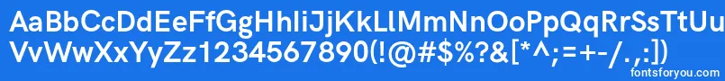 フォントHkgroteskBold – 青い背景に白い文字