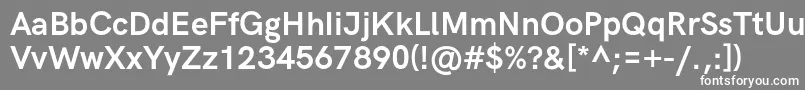 HkgroteskBold Font – White Fonts on Gray Background