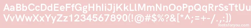 HkgroteskBold Font – White Fonts on Pink Background