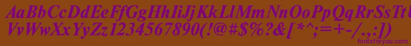 TimesetBoldItalic Font – Purple Fonts on Brown Background