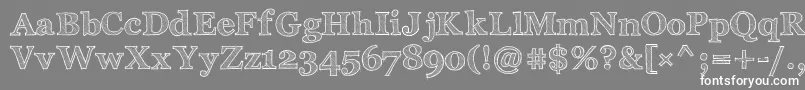 ArchisticoBold Font – White Fonts on Gray Background