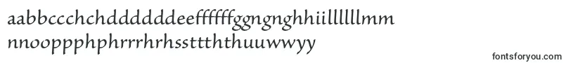 Шрифт SanvitoproCapt – валлийские шрифты