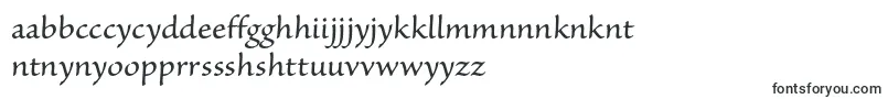 Шрифт SanvitoproCapt – руанда шрифты