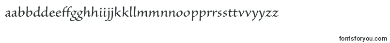 フォントSanvitoproCapt – マダガスカルの文字