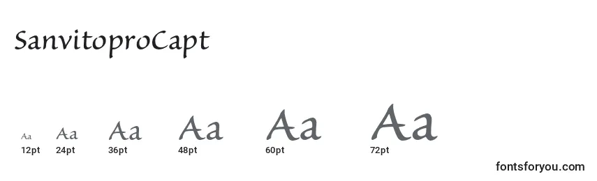 SanvitoproCapt Font Sizes