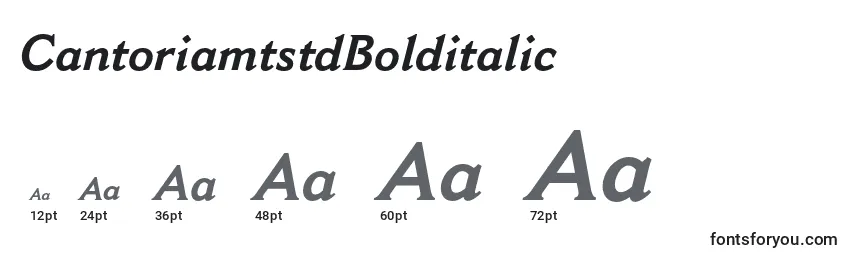 CantoriamtstdBolditalic Font Sizes