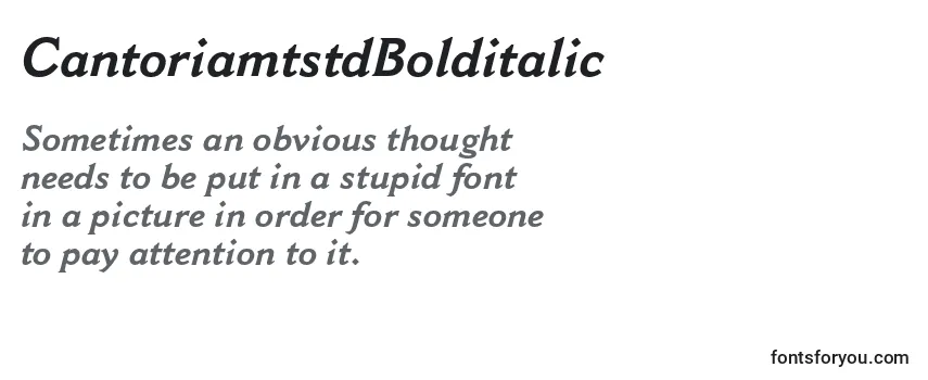 Review of the CantoriamtstdBolditalic Font