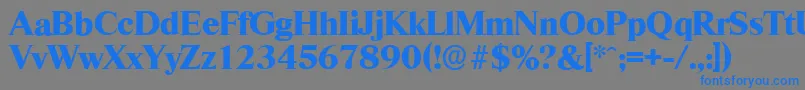 フォントRiccioneserialXboldRegular – 灰色の背景に青い文字