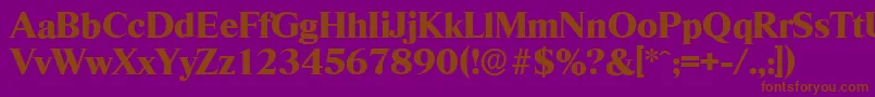 RiccioneserialXboldRegular Font – Brown Fonts on Purple Background
