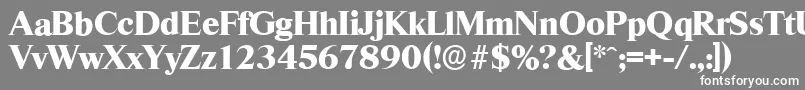 RiccioneserialXboldRegular Font – White Fonts on Gray Background