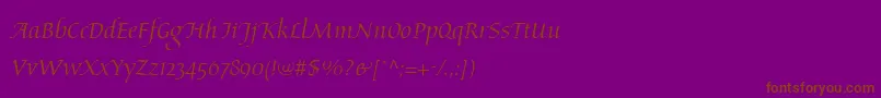 AriosoLt Font – Brown Fonts on Purple Background