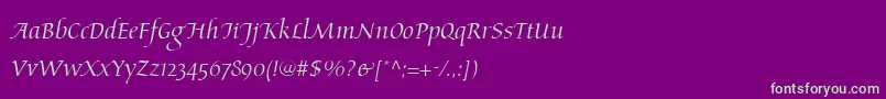 AriosoLt Font – Green Fonts on Purple Background