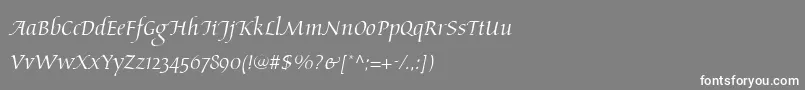 フォントAriosoLt – 灰色の背景に白い文字