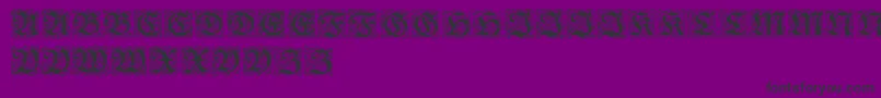 RedivivaZierbuchstaben Font – Black Fonts on Purple Background