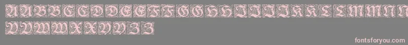 RedivivaZierbuchstaben Font – Pink Fonts on Gray Background