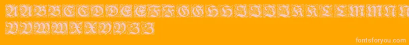 RedivivaZierbuchstaben Font – Pink Fonts on Orange Background