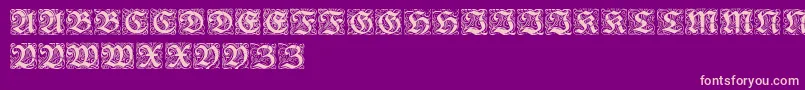 RedivivaZierbuchstaben-Schriftart – Rosa Schriften auf violettem Hintergrund