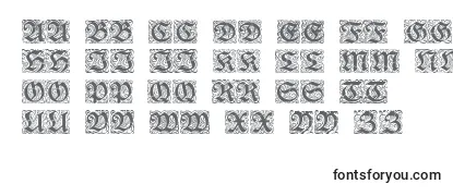 RedivivaZierbuchstaben Font