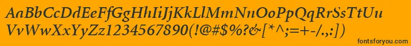 MinionLtSemiboldItalic Font – Black Fonts on Orange Background