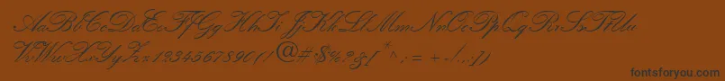 QuillScriptSsiBold Font – Black Fonts on Brown Background