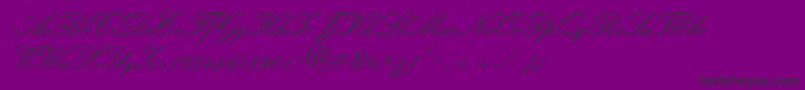 QuillScriptSsiBold Font – Black Fonts on Purple Background