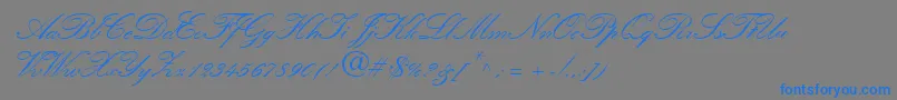 QuillScriptSsiBold Font – Blue Fonts on Gray Background
