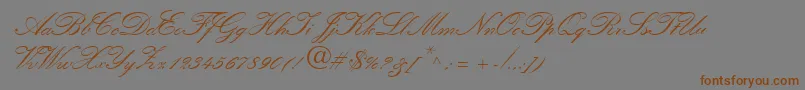 QuillScriptSsiBold-Schriftart – Braune Schriften auf grauem Hintergrund