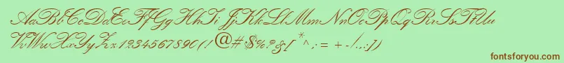 QuillScriptSsiBold Font – Brown Fonts on Green Background