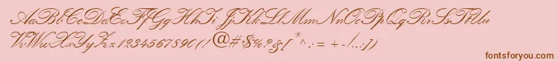 QuillScriptSsiBold Font – Brown Fonts on Pink Background