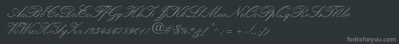 QuillScriptSsiBold Font – Gray Fonts on Black Background