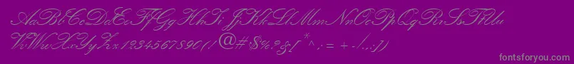 QuillScriptSsiBold Font – Gray Fonts on Purple Background