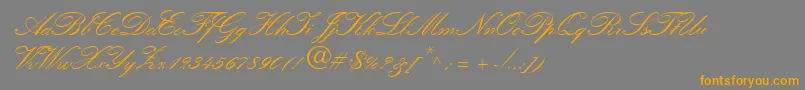 Шрифт QuillScriptSsiBold – оранжевые шрифты на сером фоне