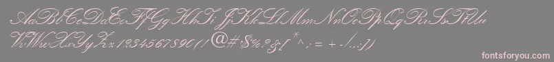 Weitere Informationen zur QuillScriptSsiBold-Schriftart QuillScriptSsiBold-Schriftart – Rosa Schriften auf grauem Hintergrund