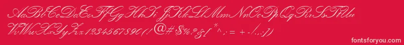 Police QuillScriptSsiBold – polices roses sur fond rouge