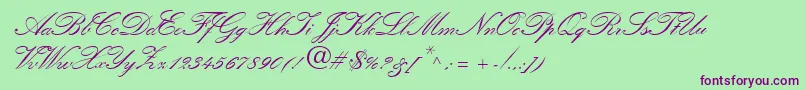 QuillScriptSsiBold Font – Purple Fonts on Green Background